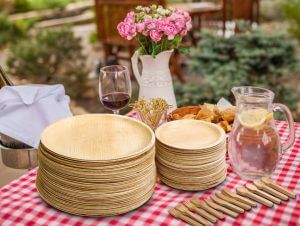 eco soul natural and timber free palm leaf plates
