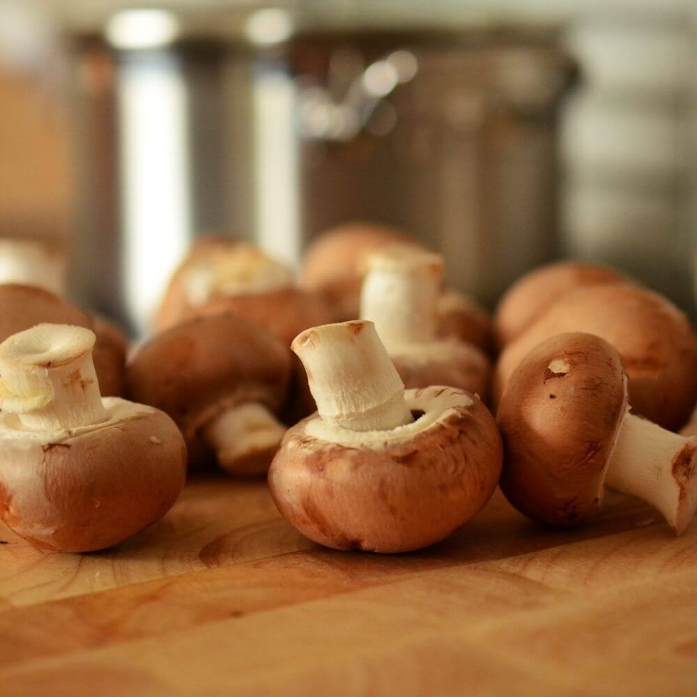 Mushroom Bacon