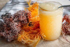 All about sea moss