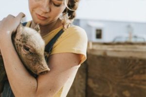 vegan non-profits and animal sanctuaries